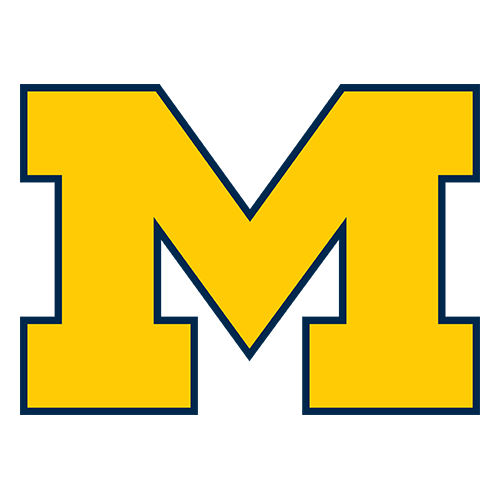 Michigan logo