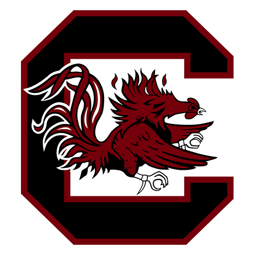 South Carolina logo